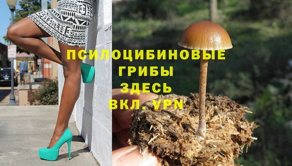 не бодяженный Абдулино