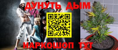 ПСИЛОЦИБИНОВЫЕ ГРИБЫ Ирбит