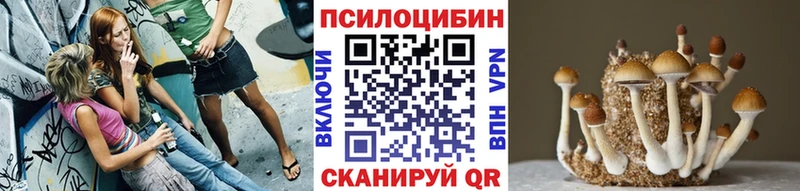 Псилоцибиновые грибы Psilocybe  KRAKEN зеркало  площадка формула  Уфа 