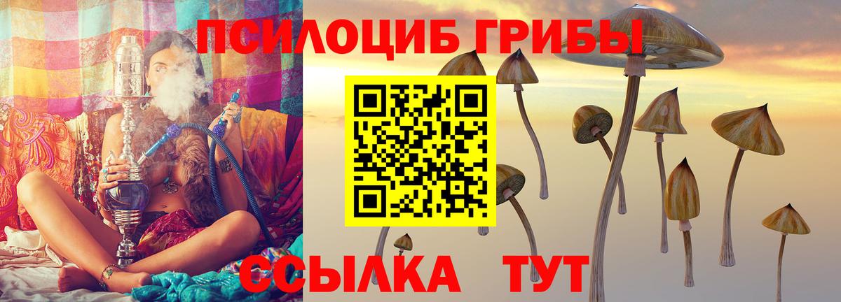 Уфа  Галлюциногенные грибы Psilocybine cubensis  Вход с VPN 