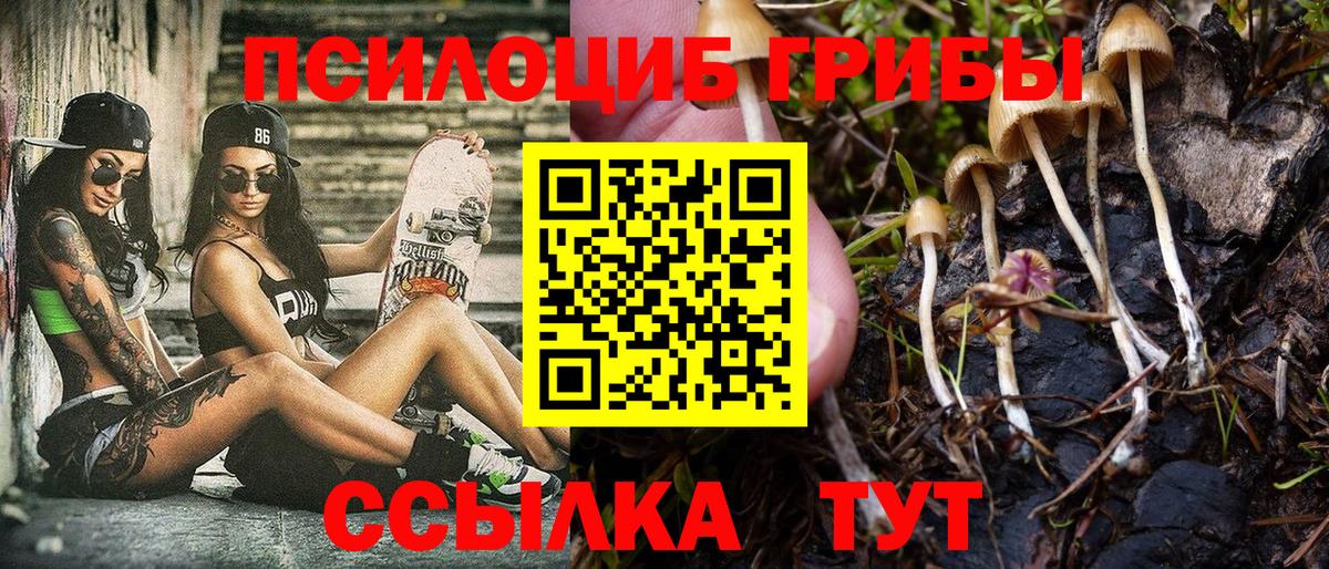 Псилоцибиновые грибы Magic Shrooms Уфа